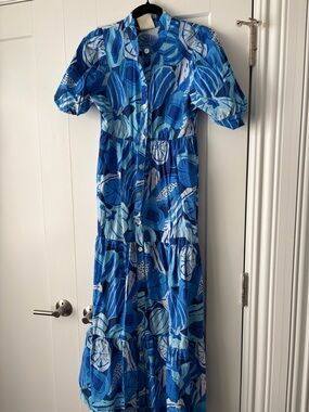 FARM Rio Blue Multi Floral Tiered Button Maxi Dress